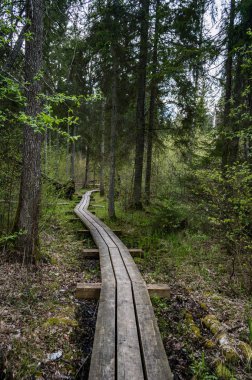 boardwalk Gölü bulutlarda yansıması