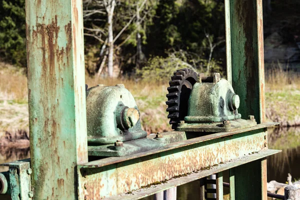 Old gears and cogs against blurred background — Stock Photo, Image