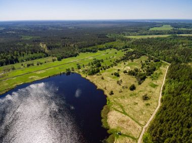 Drone görüntü. Orman ve bataklık lak ile kırsal bölgenin havadan görünümü