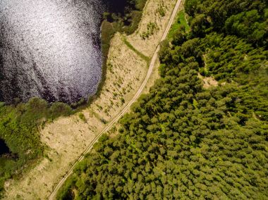 Drone görüntü. Orman ve bataklık lak ile kırsal bölgenin havadan görünümü