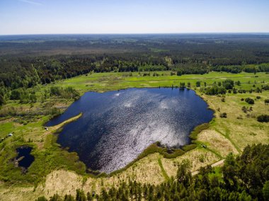 Drone görüntü. Orman ve bataklık lak ile kırsal bölgenin havadan görünümü