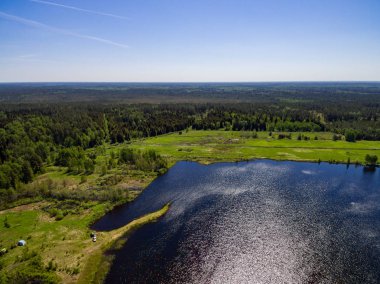Drone görüntü. Orman ve bataklık lak ile kırsal bölgenin havadan görünümü