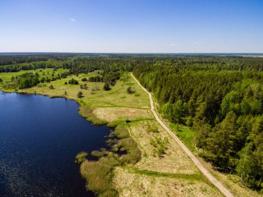 Drone görüntü. Orman ve bataklık lak ile kırsal bölgenin havadan görünümü