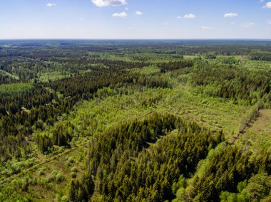 Drone görüntü. Orman ve bataklık lak ile kırsal bölgenin havadan görünümü
