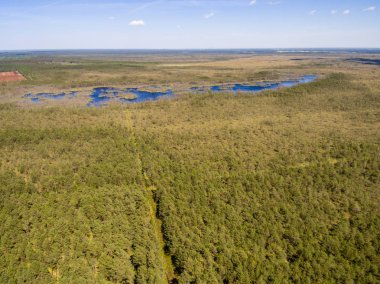 Drone görüntü. Orman ve bataklık lak ile kırsal bölgenin havadan görünümü