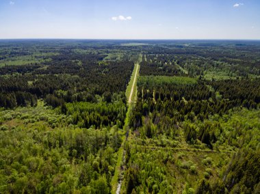 Drone görüntü. Orman ve bataklık lak ile kırsal bölgenin havadan görünümü