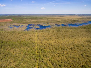 Drone görüntü. Orman ve bataklık lak ile kırsal bölgenin havadan görünümü