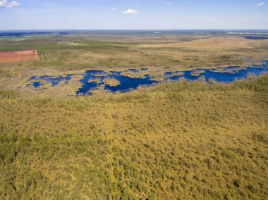 Drone görüntü. Orman ve bataklık lak ile kırsal bölgenin havadan görünümü