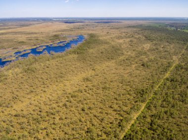 Drone görüntü. Orman ve bataklık lak ile kırsal bölgenin havadan görünümü