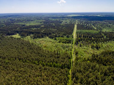 Drone görüntü. Orman ve bataklık lak ile kırsal bölgenin havadan görünümü