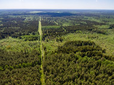 Drone görüntü. Orman ve bataklık lak ile kırsal bölgenin havadan görünümü
