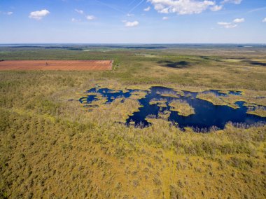 Drone görüntü. Orman ve bataklık lak ile kırsal bölgenin havadan görünümü