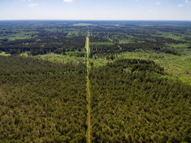 Drone görüntü. Orman ve bataklık lak ile kırsal bölgenin havadan görünümü