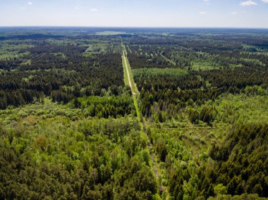 Drone görüntü. Orman ve bataklık lak ile kırsal bölgenin havadan görünümü