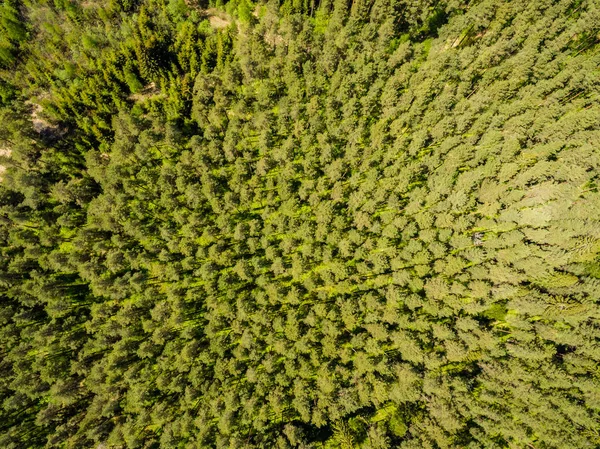 Imagem de drone. vista aérea da zona rural com floresta e lago de pântano — Fotografia de Stock