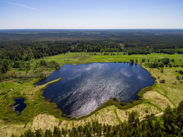 Drone görüntü. Orman ve bataklık lak ile kırsal bölgenin havadan görünümü