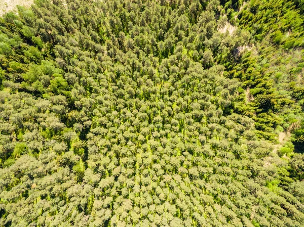 Image de drone. vue aérienne de la zone rurale avec lak forêt et marais — Photo