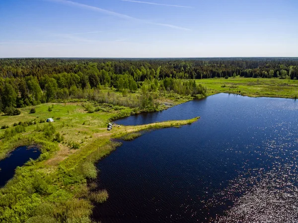 Drone image. aerial view of rural area with forest and swamp lak — Stock Photo, Image