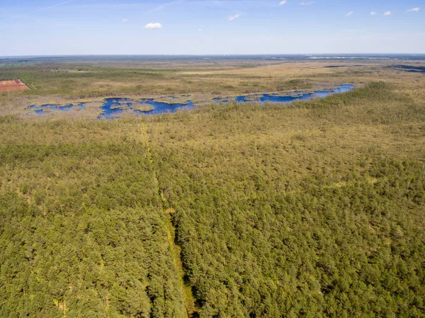 Drone görüntü. Orman ve bataklık lak ile kırsal bölgenin havadan görünümü