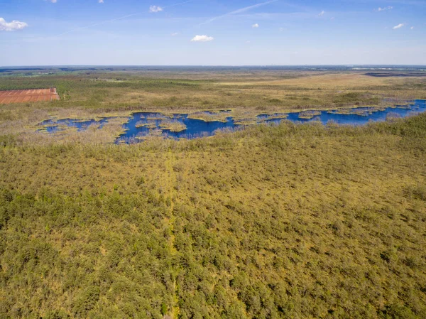 Drone görüntü. Orman ve bataklık lak ile kırsal bölgenin havadan görünümü