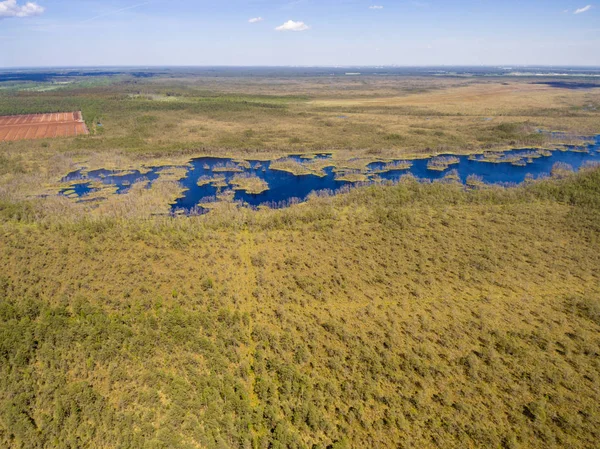 Drone görüntü. Orman ve bataklık lak ile kırsal bölgenin havadan görünümü
