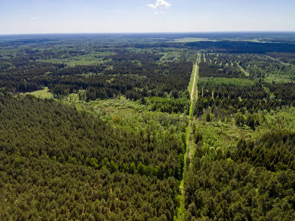 Drone görüntü. Orman ve bataklık lak ile kırsal bölgenin havadan görünümü