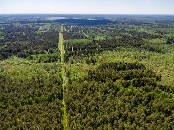 Drone görüntü. Orman ve bataklık lak ile kırsal bölgenin havadan görünümü