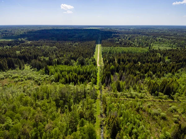 Drone image. aerial view of rural area with forest and swamp lak — Stock Photo, Image