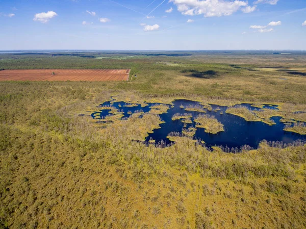 Drone görüntü. Orman ve bataklık lak ile kırsal bölgenin havadan görünümü