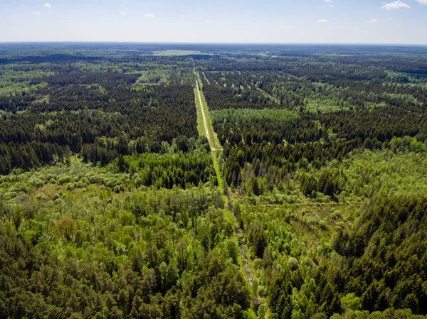 Drone görüntü. Orman ve bataklık lak ile kırsal bölgenin havadan görünümü