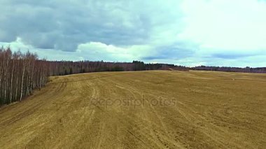 banliyösü çam ağacı orman alanları üzerinde uçuş. hava balonu pov