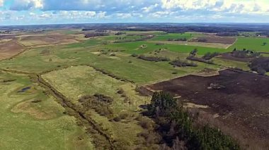banliyösü çam ağacı orman alanları üzerinde uçuş. hava balonu pov