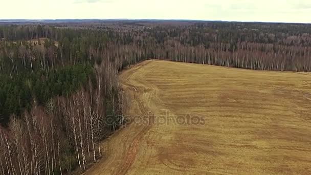 Vlucht over voorstad dennenbos, velden. lucht ballon pov — Stockvideo