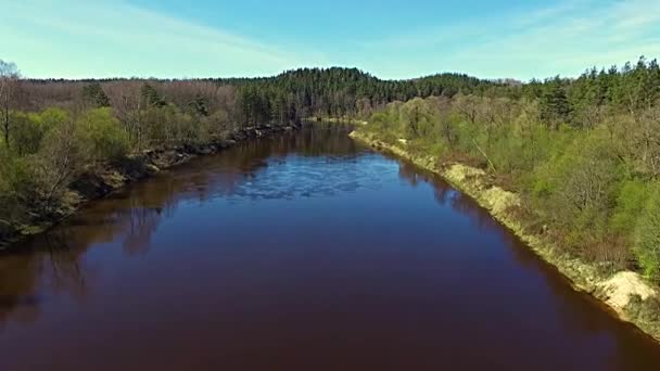 Vuelo aéreo de bajo nivel sobre el río de Gauja — Vídeos de Stock