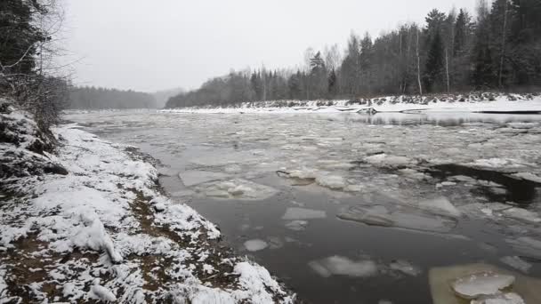 Blocchi di ghiaccio che si muovono nel fiume. riprese monocromatiche invernali — Video Stock