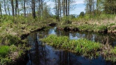 kırsal kesimde eski köprü