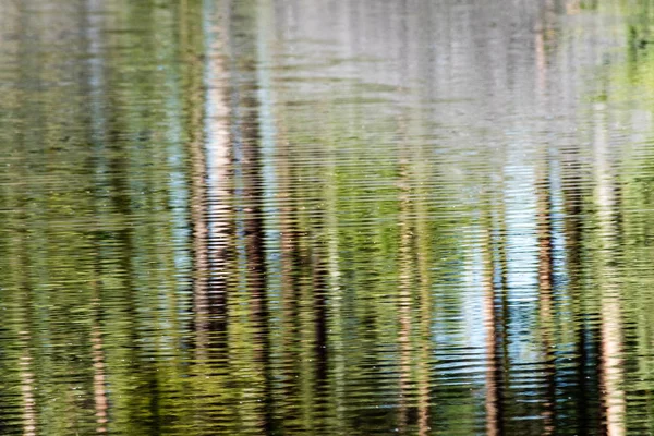 Reflektioner av gamla träd i vatten — Stockfoto
