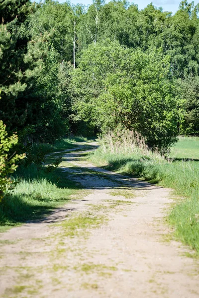 Загородная гравийная дорога в лесу — стоковое фото
