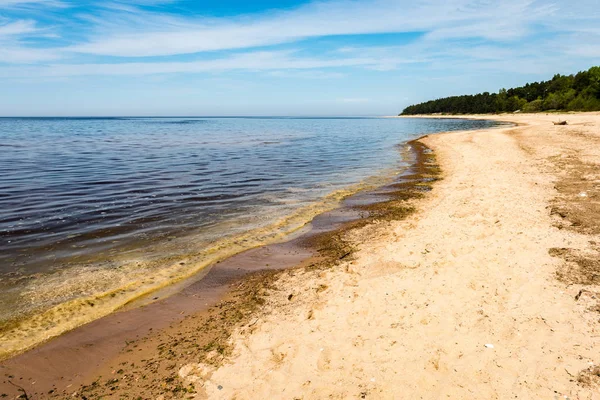 Baltık Denizi kayalık plaj — Stok fotoğraf