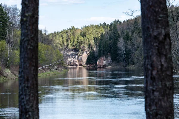 Summer landscape of river — Stock Photo, Image