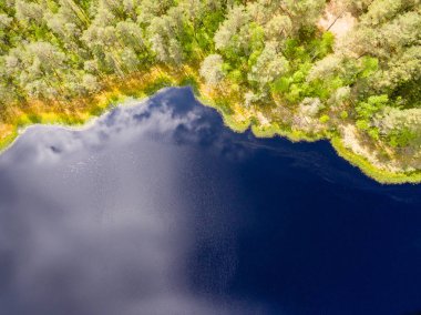 Drone görüntü. lake Forest ile kırsal alanının havadan görünümü