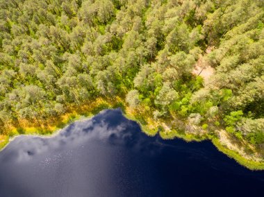 Drone görüntü. lake Forest ile kırsal alanının havadan görünümü