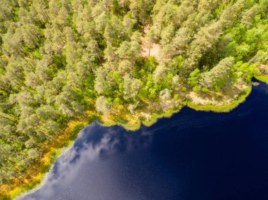 Drone görüntü. lake Forest ile kırsal alanının havadan görünümü