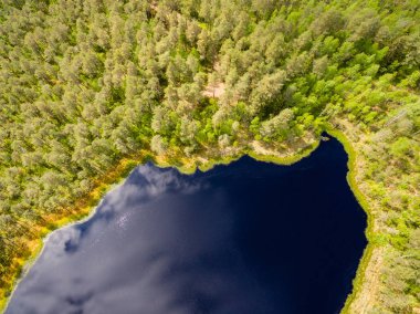 Drone görüntü. lake Forest ile kırsal alanının havadan görünümü