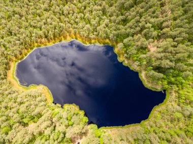 Drone görüntü. lake Forest ile kırsal alanının havadan görünümü