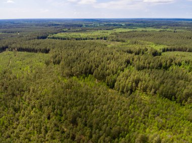 Drone görüntü. lake Forest ile kırsal alanının havadan görünümü