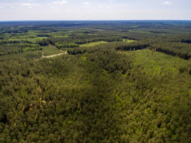 Drone görüntü. lake Forest ile kırsal alanının havadan görünümü
