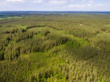 Drone görüntü. lake Forest ile kırsal alanının havadan görünümü