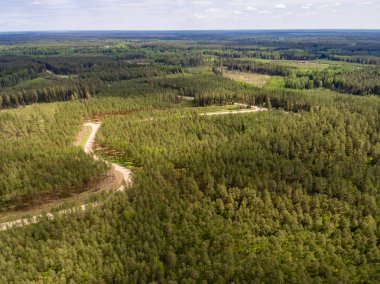 Drone görüntü. lake Forest ile kırsal alanının havadan görünümü