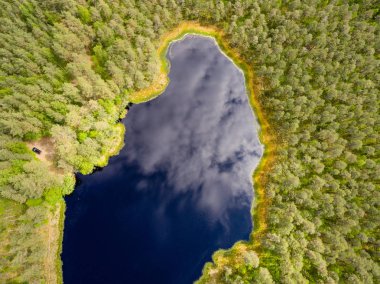 Drone görüntü. lake Forest ile kırsal alanının havadan görünümü